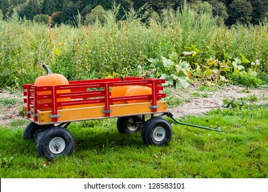 A Kid Sized Pull Wagon Carrying Pumpkins In A Pumpkin Patch