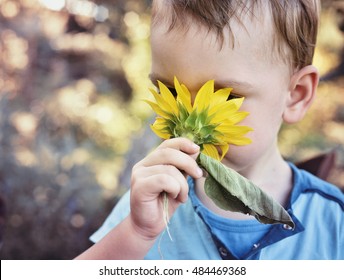 Kid Smelling A Flower Sunflower.