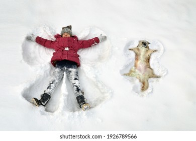 Kid In The Snow In Winter Makes A Snow Angel Together With A Dog