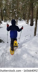 Kid Snowshoeing Alone In The Woods