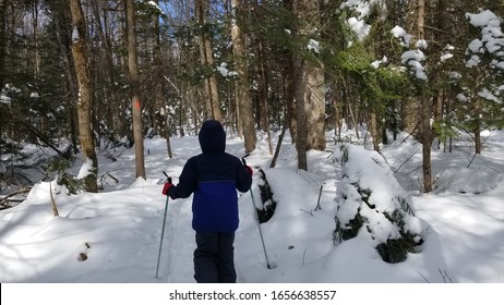 Kid Snowshoeing In The Berkshires