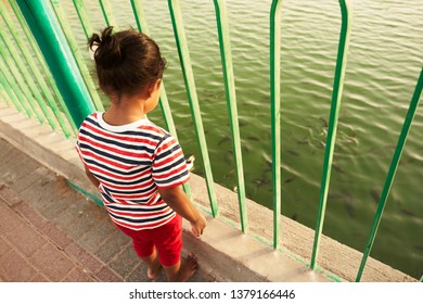 Kid Watching Fish At Pond          