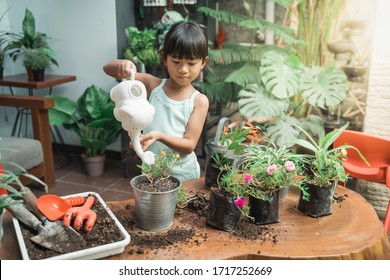 Kid Watering Some Plants At Home During Holiday