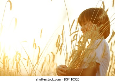 Kid at wheat field hugging harvest grain Adlı Stok Fotoğraf
