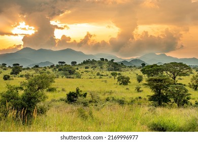 Kidepo Valley National Park Landscape With Sunset Storm Clouds, Uganda, Africa