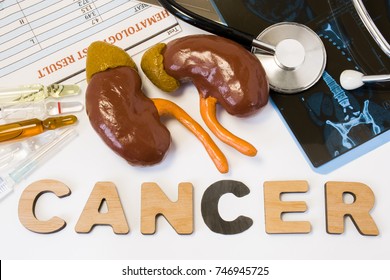 Kidney Cancer Concept. Anatomical Shape Of Kidneys With Adrenal Lies Near Word Cancer Surrounded By Set Of Tests, Analysis, Drugs, MRI And Stethoscope. Diagnosis Treatment Of Kidney And Adrenal Cancer