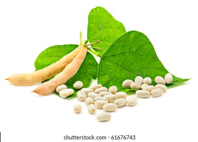 Kidney ( Soy ) Beans With Leaves Isolated On White Background