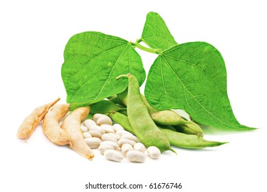 Kidney ( Soy ) Beans With Leaves Isolated On White Background