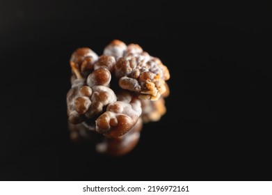 Kidney Stone, Intact, Formed In An Alkaline Environment In The Kidneys After ESWL Intervention Or Surgery. Lithotripsy. Extreme Macro Photography. Selective Focus