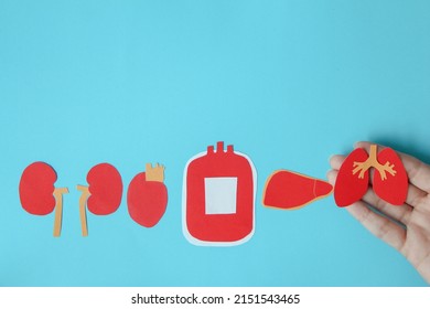 Kidney,heart, Blood Bag, Liver, And Lung Shape Made From Paper On Blue Background With Copy Space, Blood And Organ Donation And Transplant Concept.