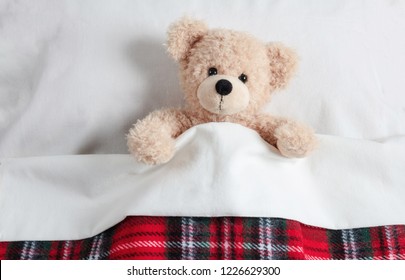 Kids bedtime. Cute teddy covered with a warm blanket, resting in bed