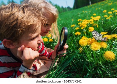 Kids - Boy And Girl - Looking At Butterfy, Kids Learning Nature