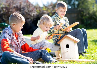 Kids Boys Brothers Play And Build Birdhouse Sitting On Green Grass