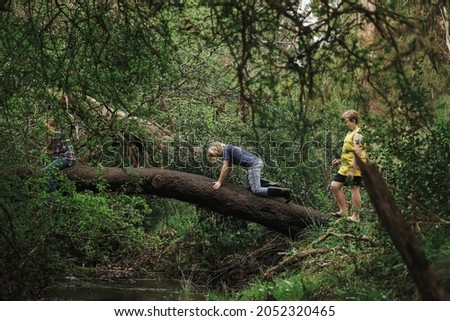 Kids climbing across log bridge over tranquil creek in the bush