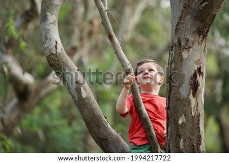 Kids climbing trees - happy smiling little boy climbs a gumtree playing outdoors in nature. Young child in Australian bushland with gumtrees and native bush and shrub. Caucasian brunette 3 year old.