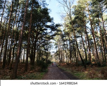 swinley bike hub shop