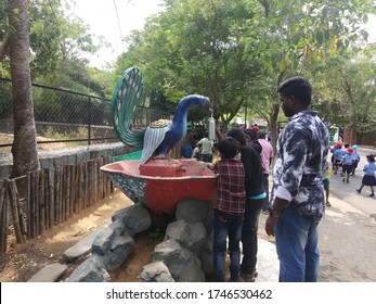 Kids Drinking Water From Peacock Model Water Tap, Picture Taken At Vandalur Zoo, Chennai, India On 3/3/2020