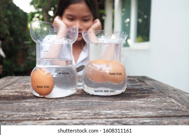 Kids Easy Experiment At Home.Asian Siblings Kid Making Salty Science With Floating Eggs In Water.Kid Put An Egg In Tap Water Versus Water That Added Enough Salt.Then They Observed For The Result,