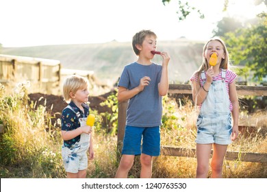 Kids Eating Ice Popsicles