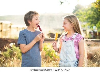 Kids Eating Ice Popsicles