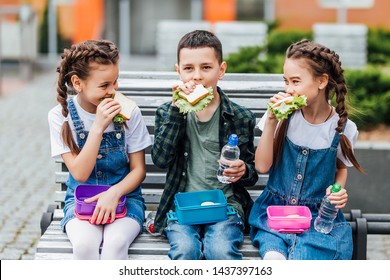Kids  Eating Outdoors The School From Plastick Lunch Boxe. Healthy School Breakfast For Child. Sandwich Time.