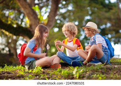 Kids explore nature. Children hike in sunny summer park. Scout club and science outdoor class. Boy and girl watch plants through magnifying glass. Kid exploring environment. Young explorer adventure. - Powered by Shutterstock