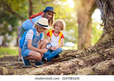 Kids explore nature. Children hike in sunny summer park. Scout club and science outdoor class. Boy and girl watch plants through magnifying glass. Kid exploring environment. Young explorer adventure. - Powered by Shutterstock
