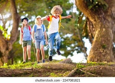 Kids explore nature. Children hike in sunny summer park. Scout club and science outdoor class. Boy and girl watch plants through magnifying glass. Kid exploring environment. Young explorer adventure. - Powered by Shutterstock