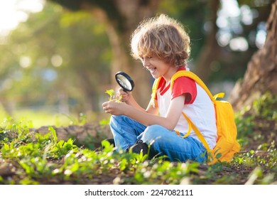 Kids explore nature. Children hike in sunny summer park. Scout club and science outdoor class. Boy and girl watch plants through magnifying glass. Kid exploring environment. Young explorer adventure. - Shutterstock ID 2247082111