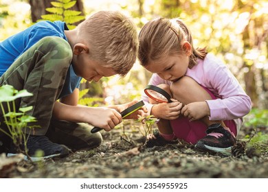 Kids exploring in forest with a magnifying glass. Children learning discovery in nature, plants, insects 
 - Shutterstock ID 2354955925