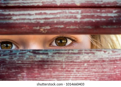 Kids eyes through wooden plank
