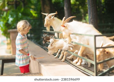 Kids feed animals at petting zoo. Family day trip to safari park. Child watching animal at country farm. Friendship and love. Pet care. Travel with children. Summer vacation with kids.