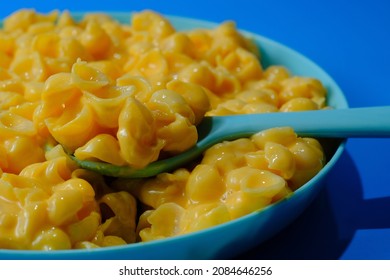 Kids Fun Seashell Pasta Mac And Cheese Served In Plastic Plate