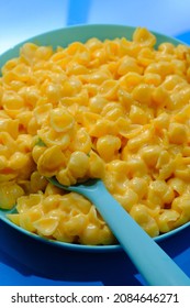 Kids Fun Seashell Pasta Mac And Cheese Served In Plastic Plate