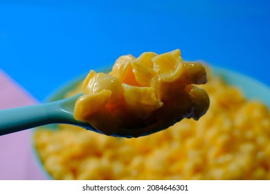 Kids Fun Seashell Pasta Mac And Cheese Served In Plastic Plate