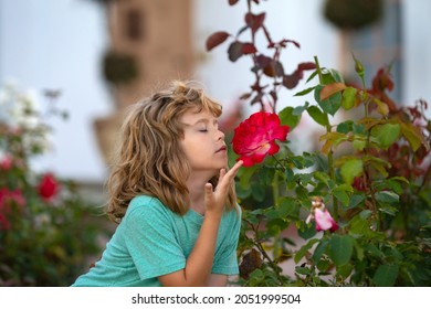 Kids Funny Face, Boy With Flowers. Child Smelling Rose In Yard.