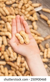 Kid's Hand Holding Peanuts In Shells.