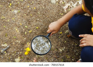 Kids Holding Magnifying Glass Exploring And Looking For Something On The Ground Using Magnifying Glass In The Evening