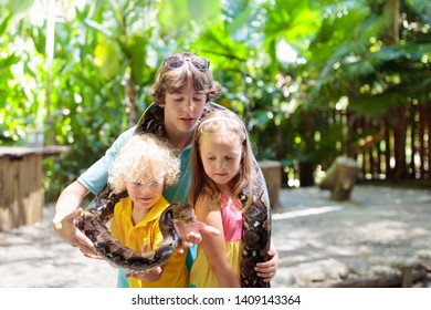 Kids Holding Python Snake Tropical Zoo Stock Photo 1409143364 ...