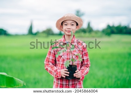 Kids holding seeding of vegetable hummingbird tree for planting the tree in organic garden farmland of agriculture in rural