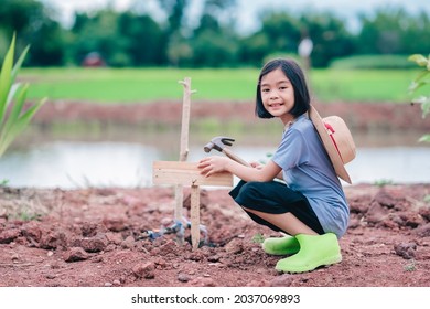 Kids holding wood of tree label on soil in organic garden farm, cute girl sitting name label of tree on blue sky background, happy Asian child working in garden outdoor of agriculture in rural  