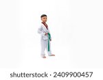 kids karate martial arts. Taekwondo uniform with green belt. Portrait Thai Asian school boy isolated on white background banner. Action sport training concept