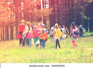 Kinder in der Natur wandern