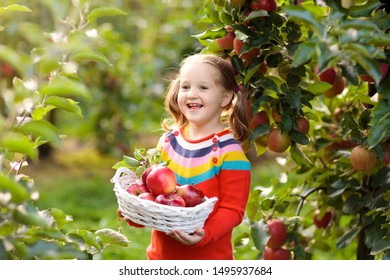 Kids Pick Eat Apple On Farm Stock Photo 1495937684 | Shutterstock