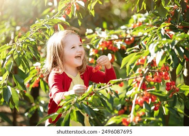 Kids picking cherry on a fruit farm. Children pick cherries in summer orchard. Toddler kid eating fresh fruit from garden tree. Little farmer girl with berry in a basket. Harvest time fun for family - Powered by Shutterstock