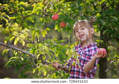 Similar – Image, Stock Photo Little girl picking apples with senior woman