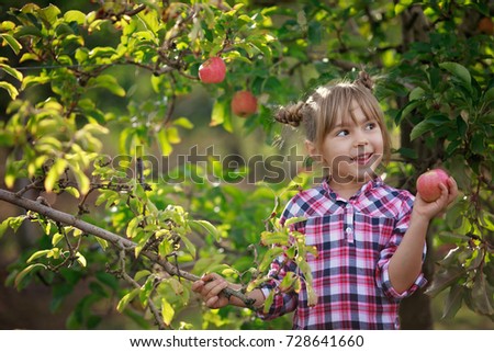 Similar – Image, Stock Photo Little girl picking apples with senior woman