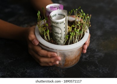 Kids Piggy Bank Or Coin  Stack Jar For Money Savings Cash Deposit For Future. 500 Rupee Banknote India. Success And Profit From Business. 500, 2000, New Indian Currency Notes.