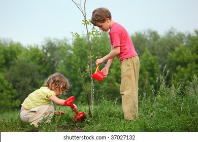 kids plant the tree