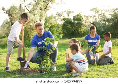 33,941 Tree planting school Images, Stock Photos & Vectors | Shutterstock